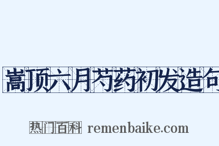 嵩顶六月芍药初发造句是什么意思的图片